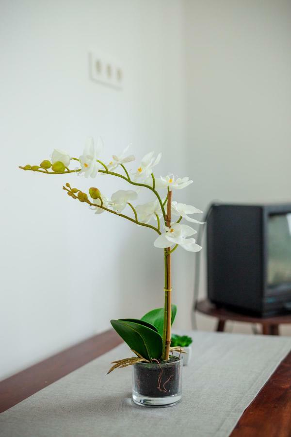 Virágos Appartement *